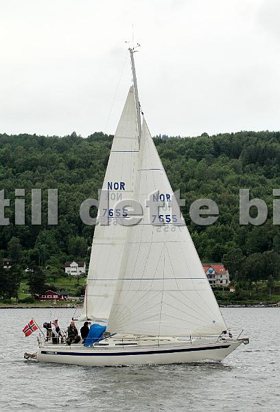 NOR7655-2.jpg
