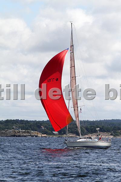 NOR7751_1.jpg