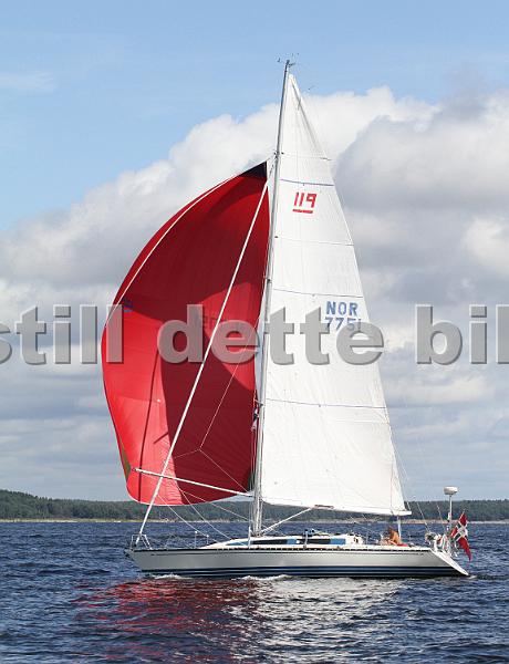 NOR7751_2.jpg