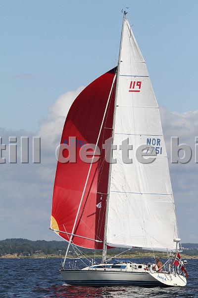 NOR7751_3.jpg