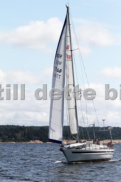 NOR7768_1.jpg