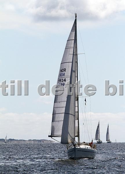 NOR9934_4.jpg