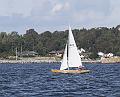 N14231_1