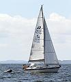 NOR11239_1