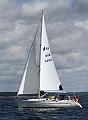 NOR11484_2