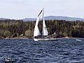 NOR12492_1