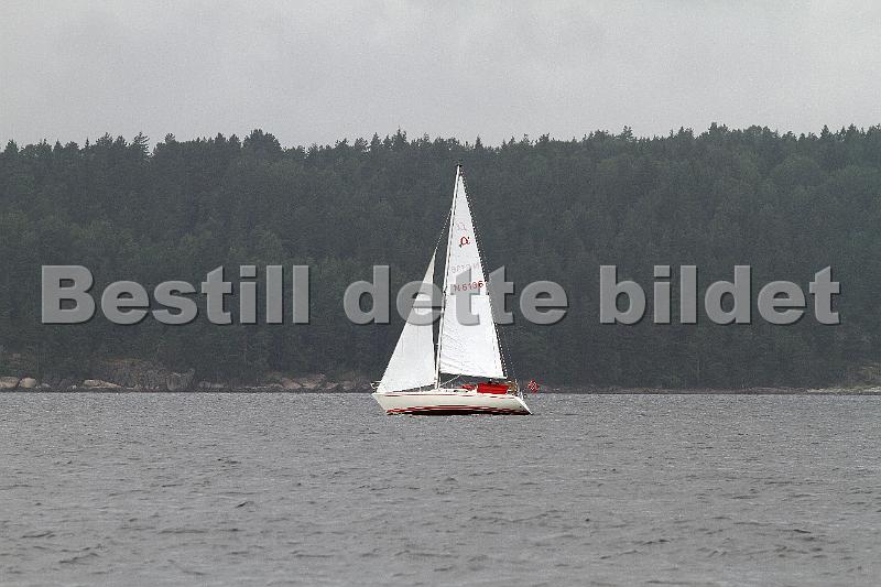 N6136_1.jpg