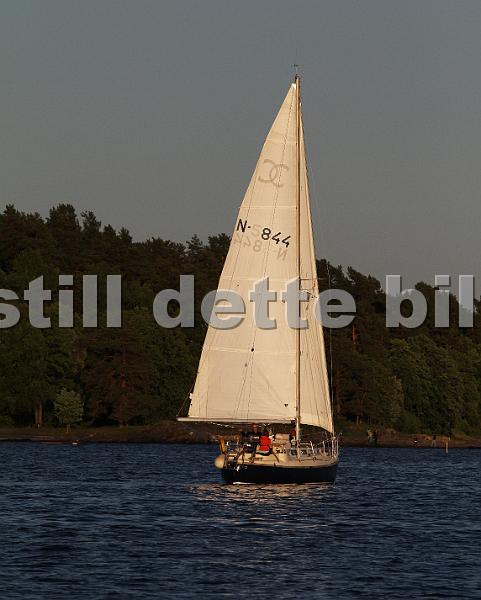 N844_1.jpg