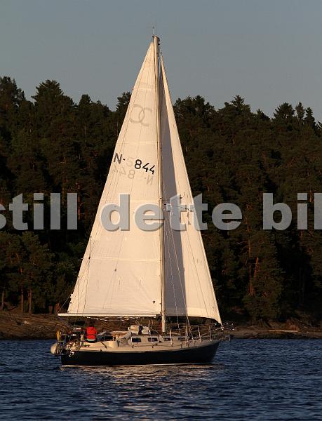 N844_2.jpg