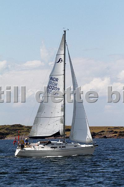 NOR10209_1.jpg