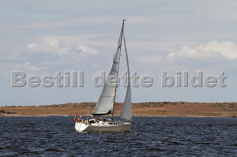 NOR10209_2.jpg