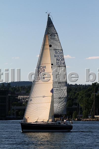 NOR10314_2.jpg