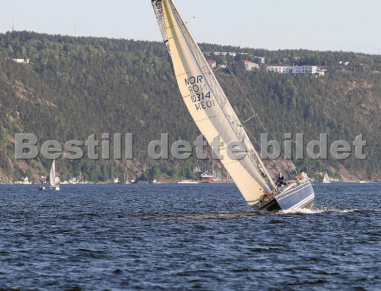 NOR10314_4.jpg