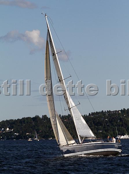 NOR10314_6.jpg