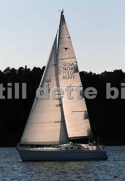 NOR10371_3.jpg