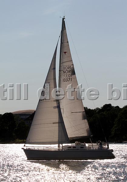 NOR10371_4.jpg