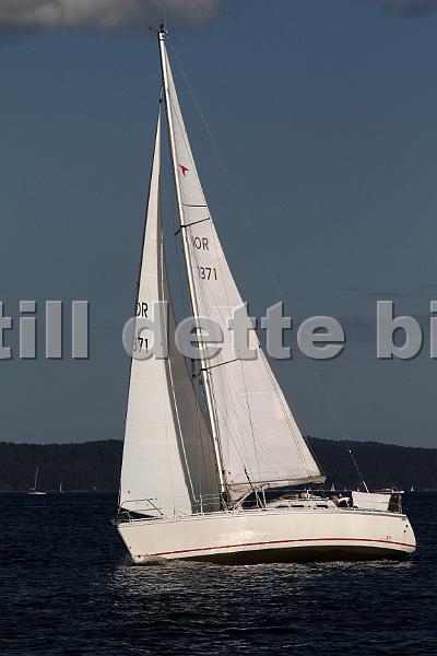 NOR10371_5.jpg