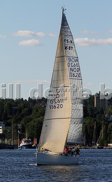 NOR11620_1.jpg