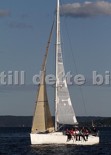 NOR11620_5.jpg