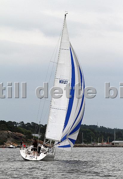 NOR12133_2.jpg