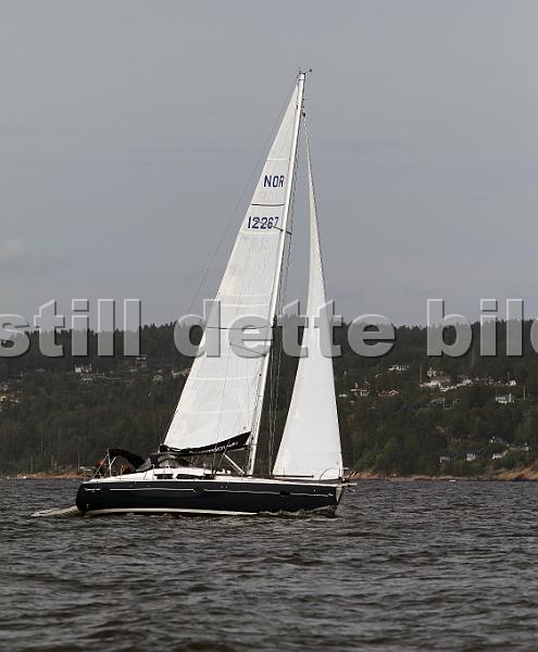 NOR12267_1.jpg