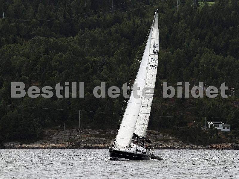 NOR12267_4.jpg