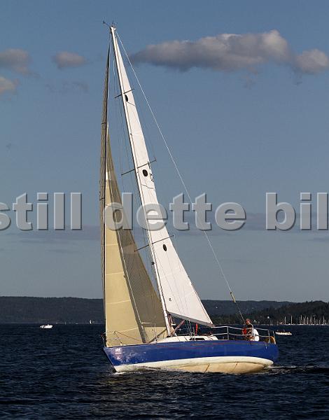 NOR12502_5.jpg