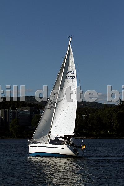 NOR12517_1.jpg