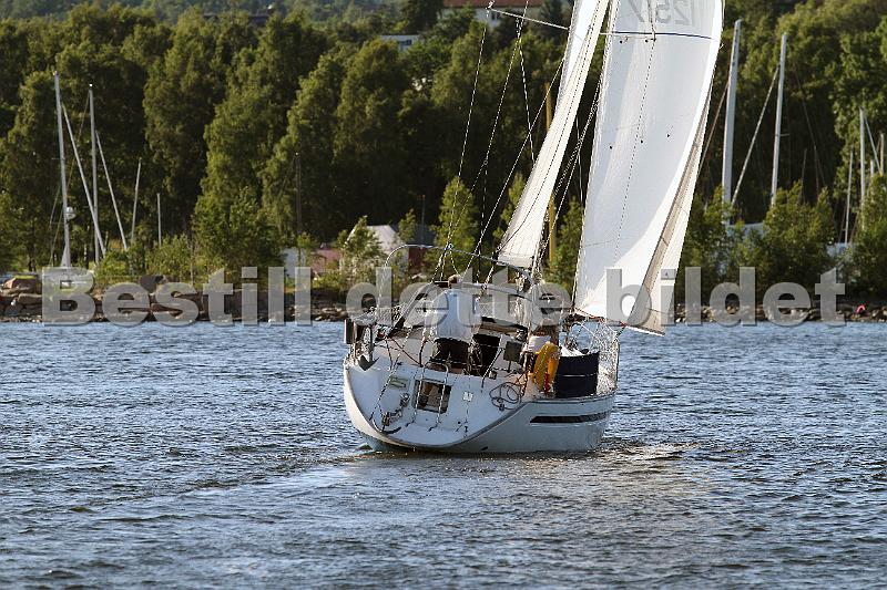 NOR12517_3.jpg