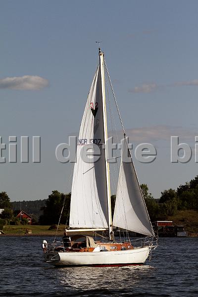 NOR1307_1.jpg