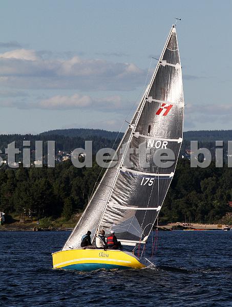 NOR175_9.jpg