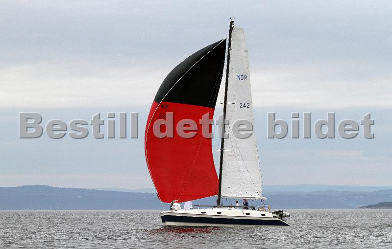 NOR242_1.jpg
