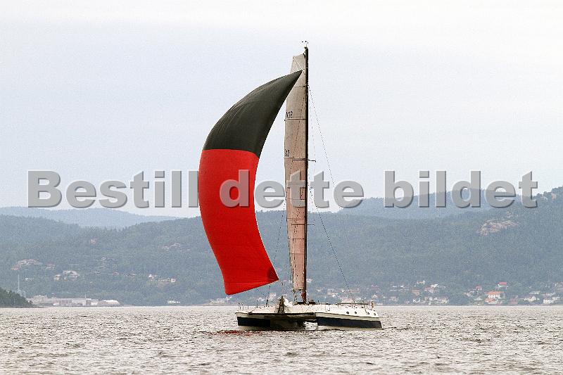 NOR242_2.jpg