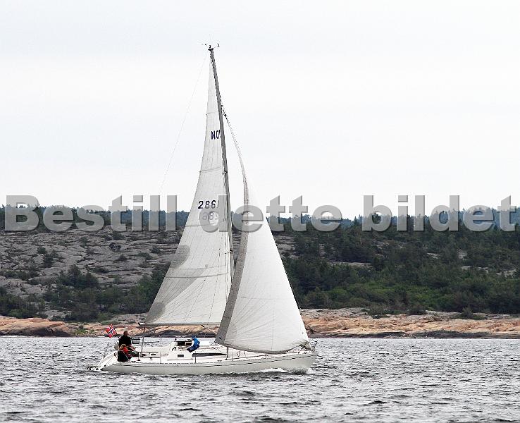 NOR2861_1.jpg