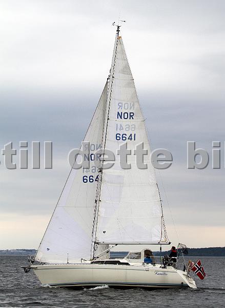 NOR6641_2.jpg