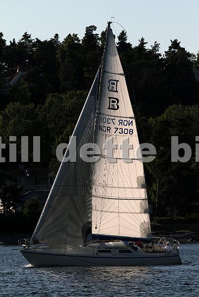 NOR7308_2.jpg