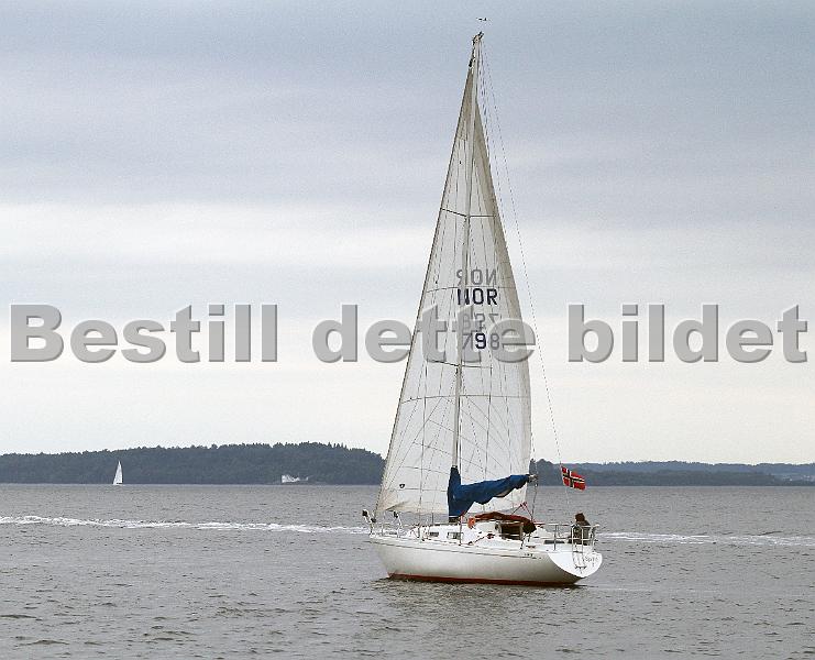 NOR798_1.jpg