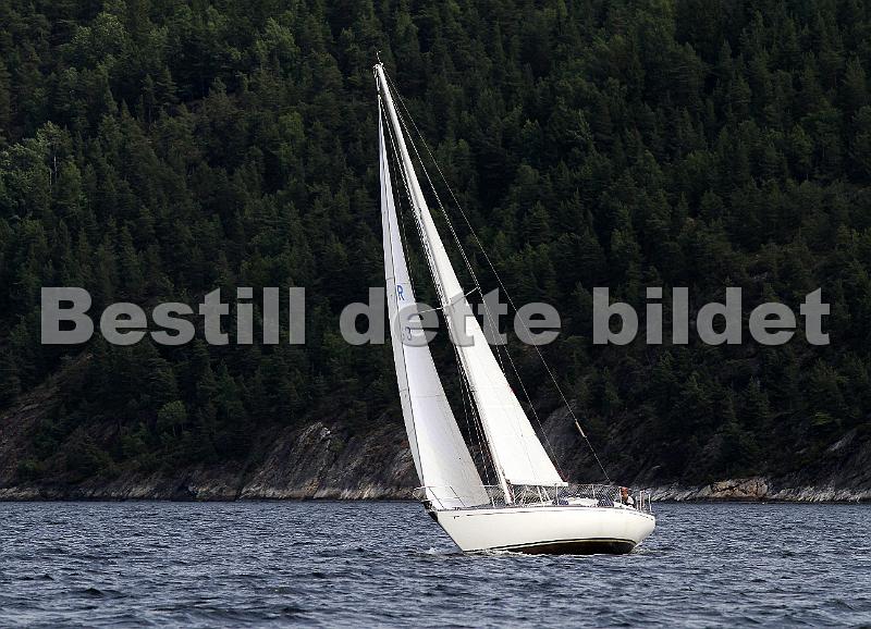 NOR863_3.jpg