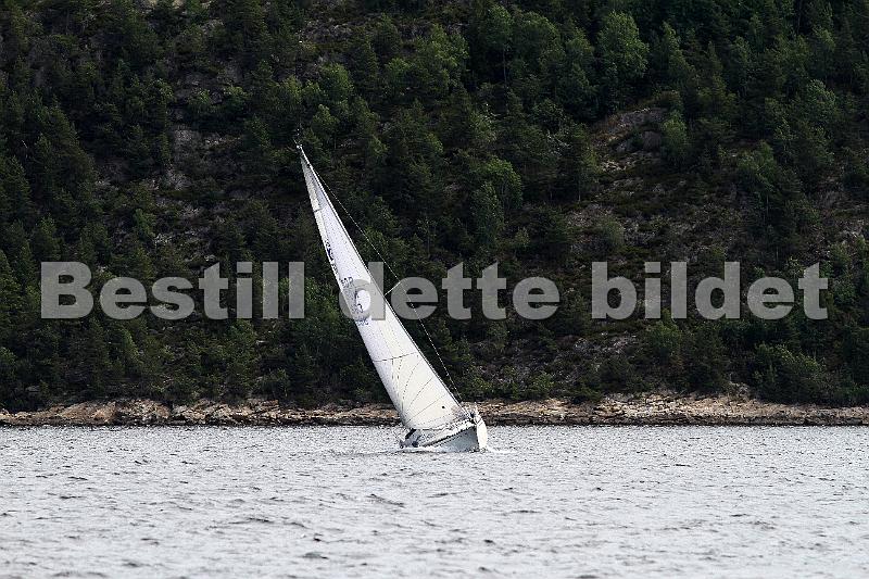 NOR863_4.jpg