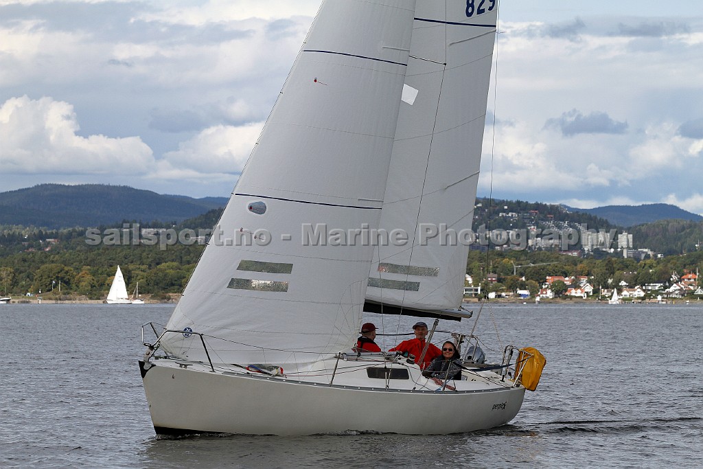 NOR829_4.jpg