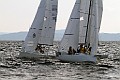 IMG_6241