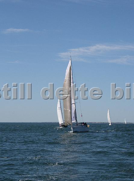 NOR10005_4.jpg