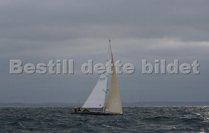NOR10314.jpg