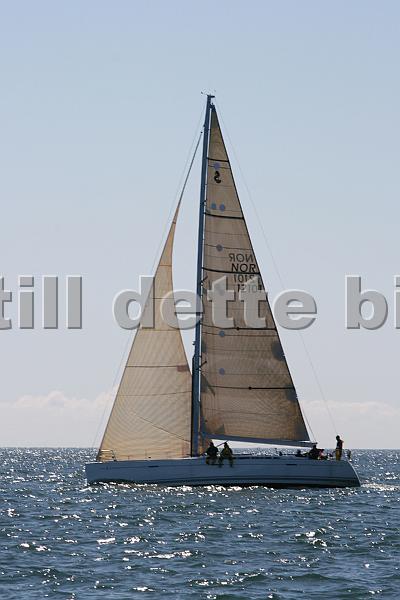 NOR12101.jpg