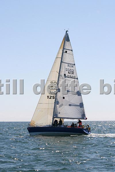 NOR12502_3.jpg
