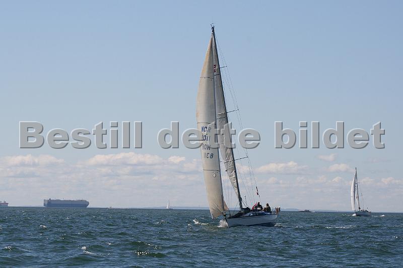 NOR8311.jpg
