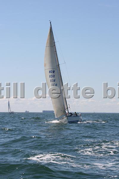 NOR8311_2.jpg
