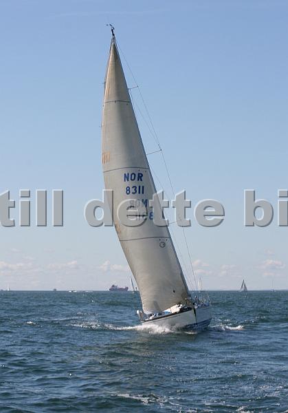 NOR8311_3.jpg