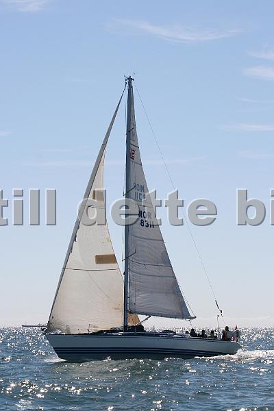 NOR8311_5.jpg