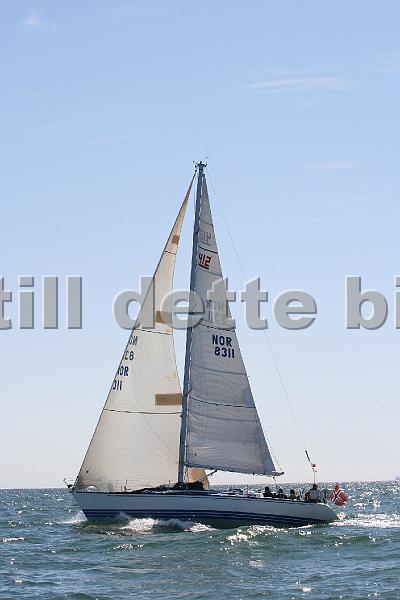 NOR8311_6.jpg